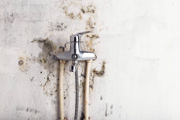Best Residential Mold Remediation in Peabody, MA