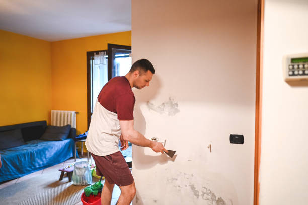 Best Mold Testing and Inspection Services in Peabody, MA